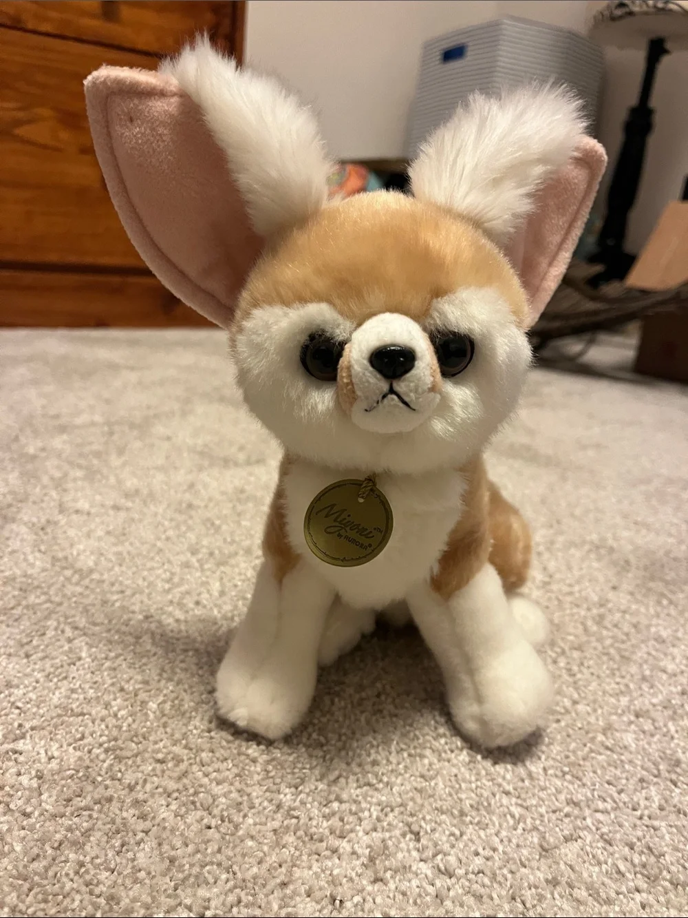 Miyoni-Fennec Fox by Auorora